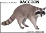 Forest Animals (Fox, Moose & Raccoon) - Image 2