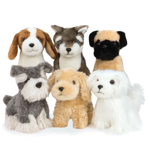 Puppies Puppies