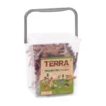 TERRA PREHISTORIC WORLD - Image 2