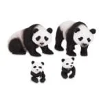 PANDA FAMILY