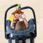 swing sing monkey