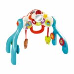 VTech Lil' Critters 3-in-1 Baby Basics Gym