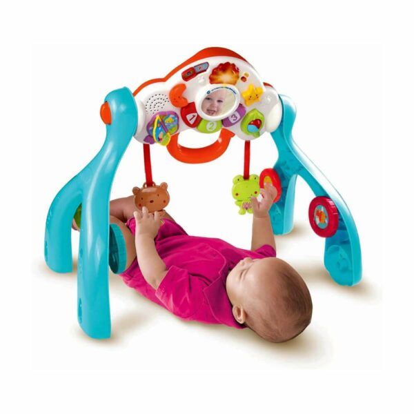 VTech Lil' Critters 3-in-1 Baby Basics Gym