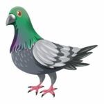 ⁦بازل طيور المزرعة 6 مجموعات - فلافي بير⁩ - الصورة ⁦3⁩