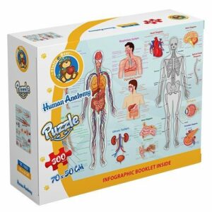 Human Anatomy puzzle 300 pieces - Fluffy Bear