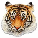 Shaped Puzzle – I’m The Tiger 245 pieces - Fluffy Bear