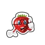 Fluffy Bear Early Fruits 6 puzzle Sets - Image 3