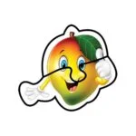 Fluffy Bear Early Fruits 6 puzzle Sets - Image 5