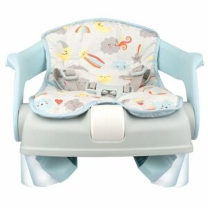 Deluxe Booster Seat-Sunchine Winfun