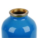 Stephen Joseph Stainless Steel Water Bottle Dino