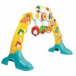 3 In 1 Barnyard Pals Play Gym WinFun