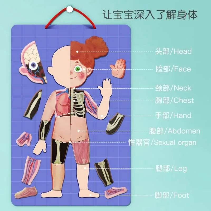 Body Mystery Magnetic Stick - Image 4