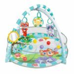 Playspace Play gym and Ball pit Winfun