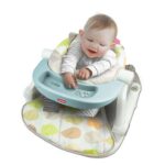 Sit-to-Walk Floor Seat with Toy Tray  - Owl Winfun - Image 5