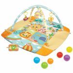 Travel Fun Deluxe Gym Winfun