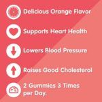 Herbaland Vegan Omega-3 Gummies For Adults - Image 4