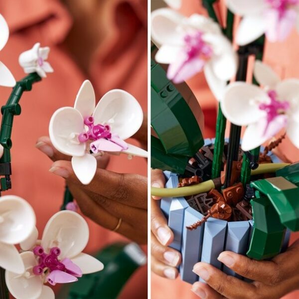 lego orchid plant decor building kit for adults 10311 608 pieces 1 Le3ab Store