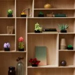 LEGO Succulents Plant Decor Building Kit for Adults; 10309 (771 Pieces) - Image 3