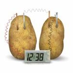 4M - Green Science Potato Clock - Image 2
