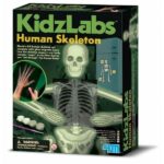 KidzLabs Glowing Human Skeleton