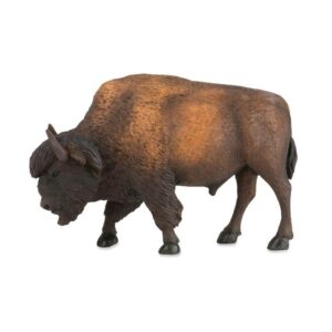 Terra Bison Animal