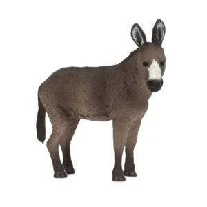 Terra Donkey Animal