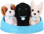 Adopt-A-Pucci Pup Shih Tzu, Chihuahua, Caniche - Image 4