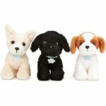 Adopt-A-Pucci Pup Shih Tzu, Chihuahua, Caniche - Image 5