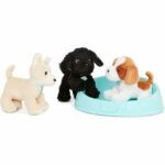 Adopt-A-Pucci Pup Shih Tzu, Chihuahua, Caniche - Image 2