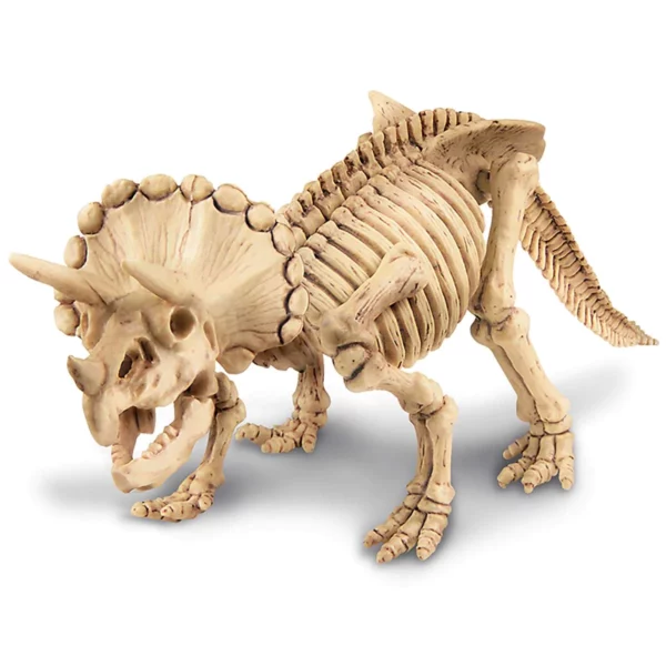 4M Dig A Dinosaur Triceratops 1 Le3ab Store