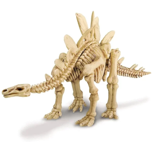 4M – Dig a Dinosaur – Stegosaurus1 Le3ab Store