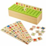 Knowledge Classification Box Montessori