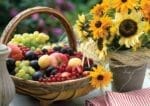Ks Games Fruits And Sunflowers Puzzle 1000 Pcs - Image 2