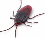 Zuru Robo Alive Glow in the Dark Crawling Cockroach - Image 3