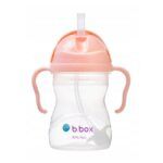 Bbox Sippy Cup - Tutti Frutti