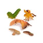 Terra Metamorphosis Animals In A Tube 10 Pieces - Image 2