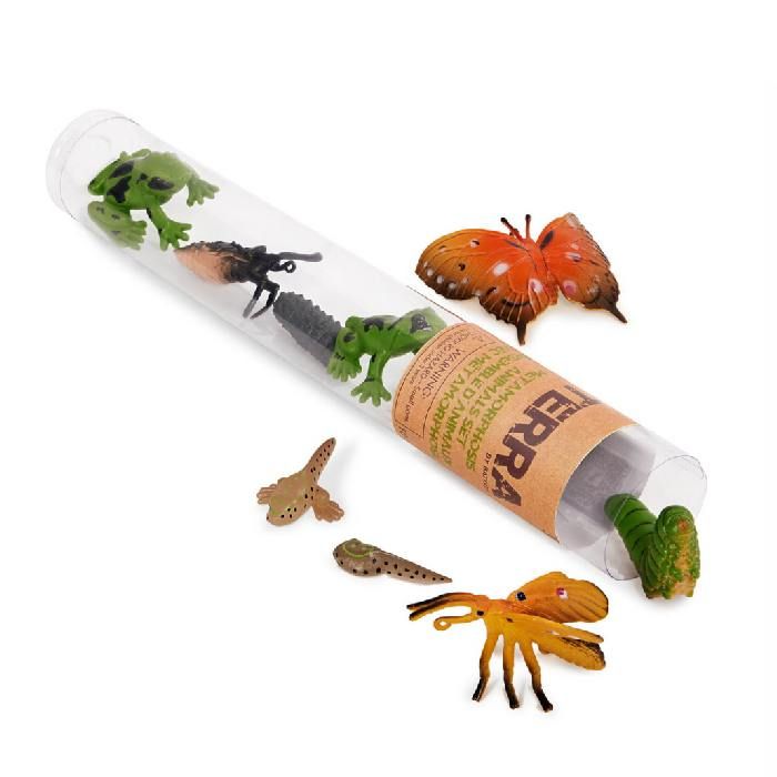 Terra Metamorphosis Animals In A Tube 10 Pieces Terra Metamorphosis Animals In A Tube 10 Pieces