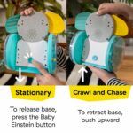 Baby Einstein Chase & Tap Earl Interactive Crawling Toy - Image 8