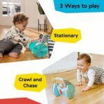 Baby Einstein Chase & Tap Earl Interactive Crawling Toy - Image 11
