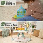 Ingenuity Tummy-to-Toes 6-in-1 Activity Center - Image 2