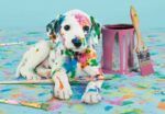 Clementoni The Funny Dalmatian Jigsaw Puzzle - 500 Piece - Image 2