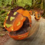 Terra RC Rolling Giant Pillbug - Image 8