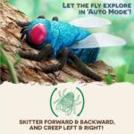 Terra RC Blue Bottle Fly - Image 5