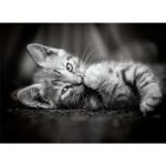 Clementoni Kitty Jigsaw Puzzle - 1000 Pieces - Image 2