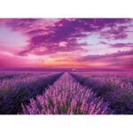 Clementoni Lavander Field Jigsaw Puzzle - 1000 Pieces - Image 2