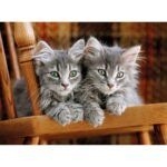 Clementoni Kittens Jigsaw Puzzle - 500 Piece - Image 2