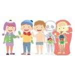 Clementoni Human Body Puzzle - Image 3
