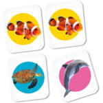 Clementoni Memo Board Sea Animals 48 Cards - Image 4