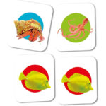 Clementoni Memo Board Sea Animals 48 Cards - Image 3
