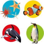 Clementoni Memo Board Sea Animals 48 Cards - Image 2
